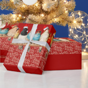 Papel De Presente Pássaros Vestindo Papai Noel Sentados em uma Perca