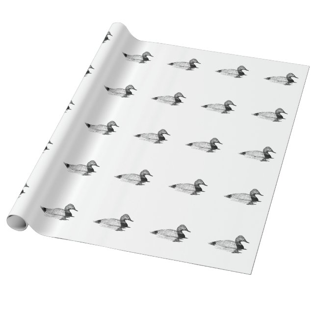 Papel De Presente Pato de Canvasback (Desenrolado)