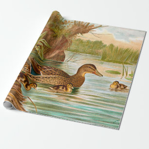 Papel De Presente Patos De Vintage Na Dissociação Pond 2