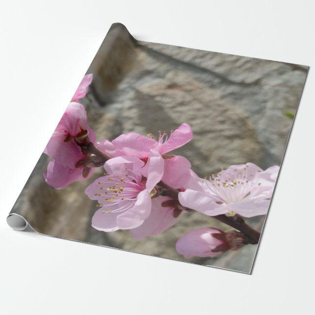 Papel De Presente Peach petal flower (Desenrolado)