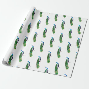 Papel De Presente Peacock bonito