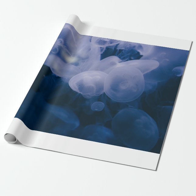 PAPEL DE PRESENTE PEIXE AZUL E BRANCO NA ÁGUA (Desenrolado)