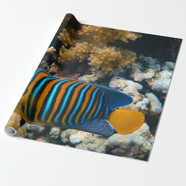 Papel De Presente Peixe Colorido Bonito (Desenrolado)