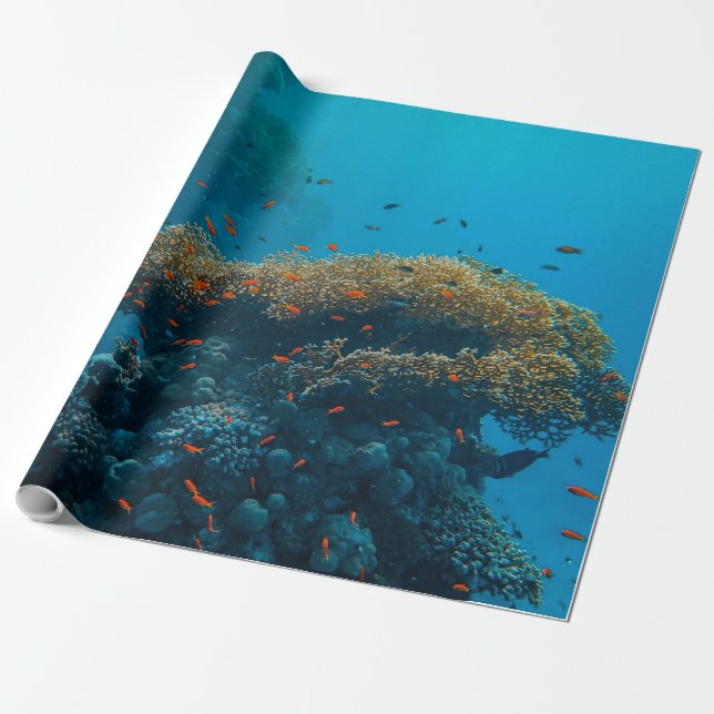 Papel De Presente Peixes E Recifes bonito (Desenrolado)