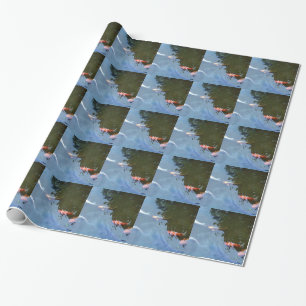 Papel De Presente Peixes, Koi Carps na lagoa