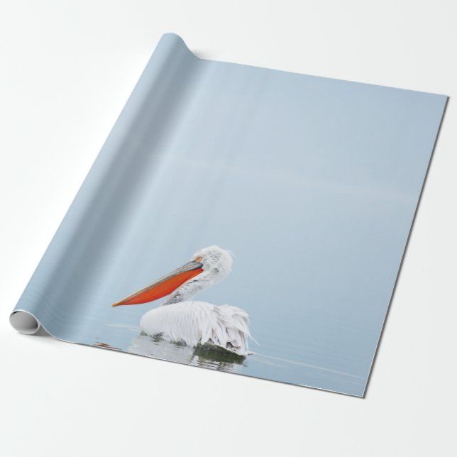 PAPEL DE PRESENTE PELICAN EM ÁGUA AZUL (Desenrolado)