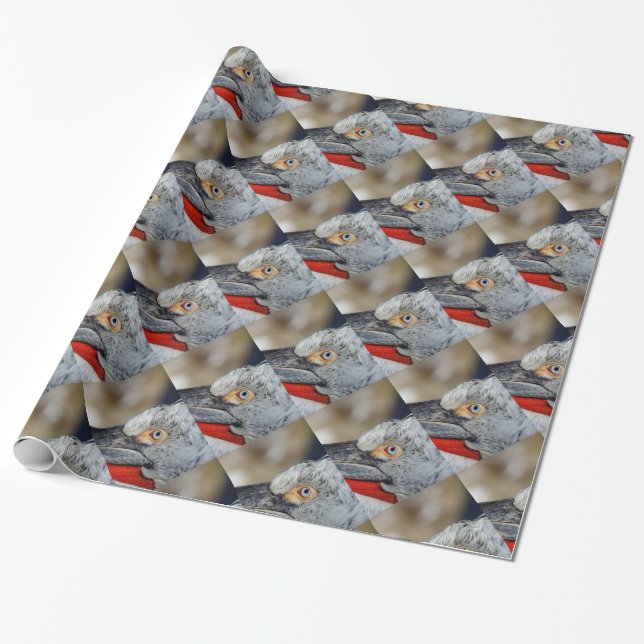 Papel De Presente Pelicano Dalmatiano (Desenrolado)