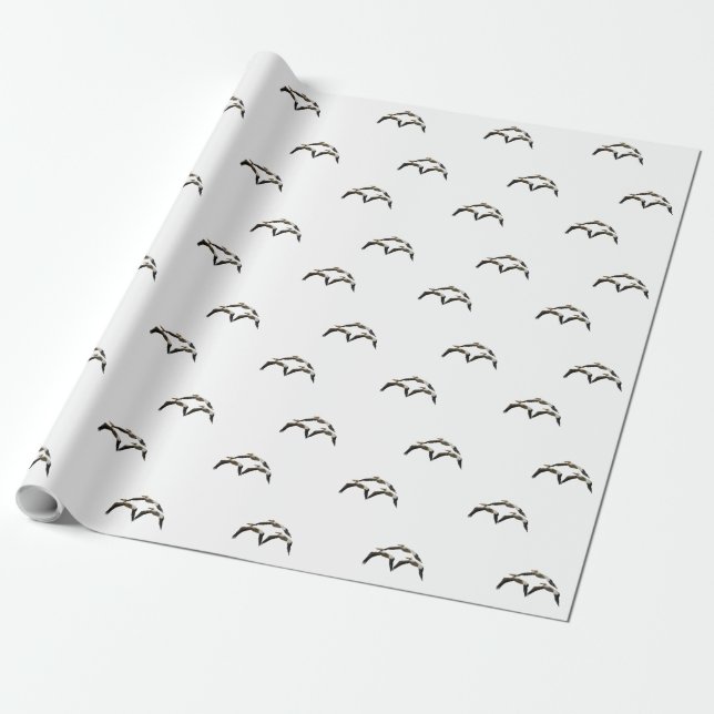 Papel De Presente Pelicano Voador 2 (Desenrolado)