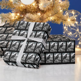 Papel De Presente penas amaldiçoadas