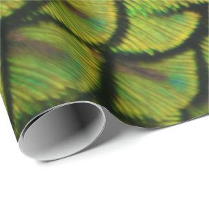 Papel De Presente Penas das Caudas Amarelas Amarelas Verdes Iridesce