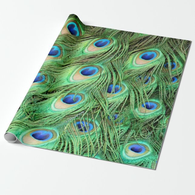 Papel De Presente Penas de Peacock Vibrantes (Desenrolado)