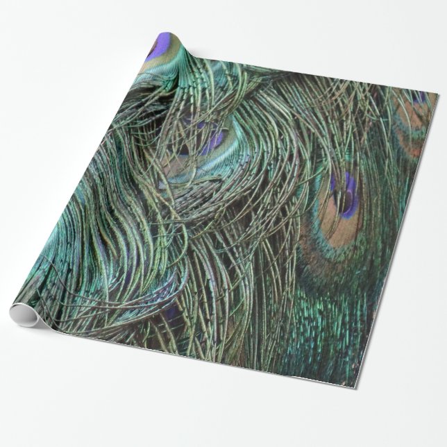 Papel De Presente Penas do Peafowl (Desenrolado)