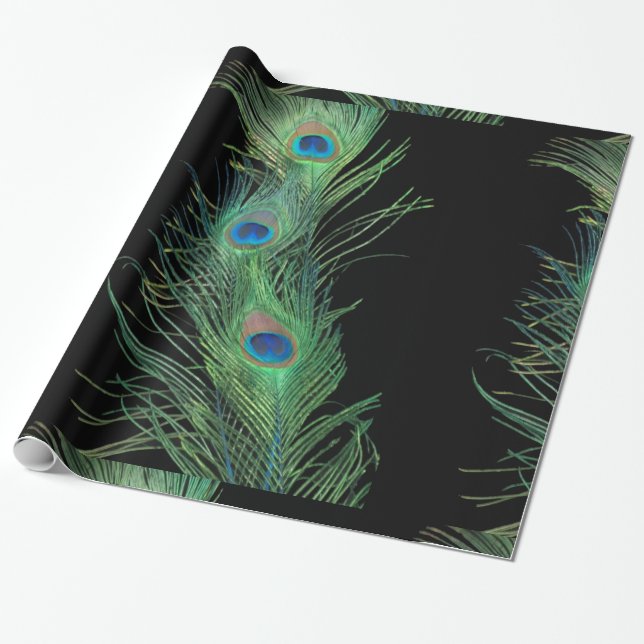 Papel De Presente Penas pretas e verdes do pavão (Desenrolado)