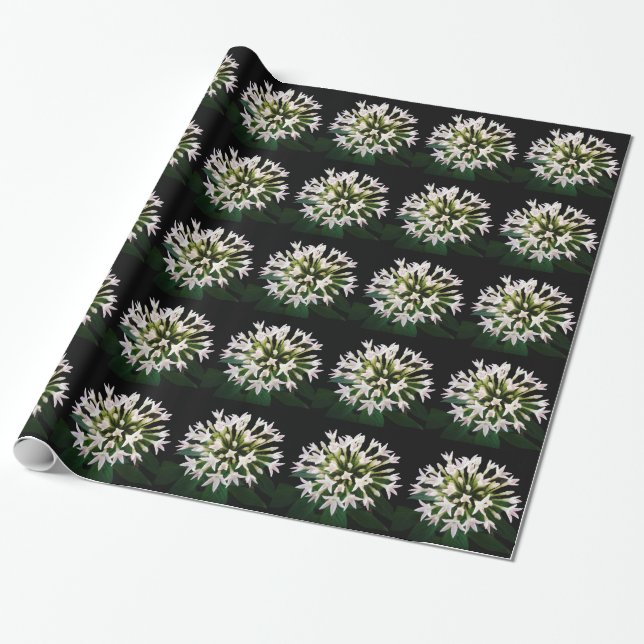 Papel De Presente Pentas Branca (Desenrolado)