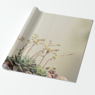 PAPEL DE PRESENTE PEQUENO JARDIM SUCCULTOR
