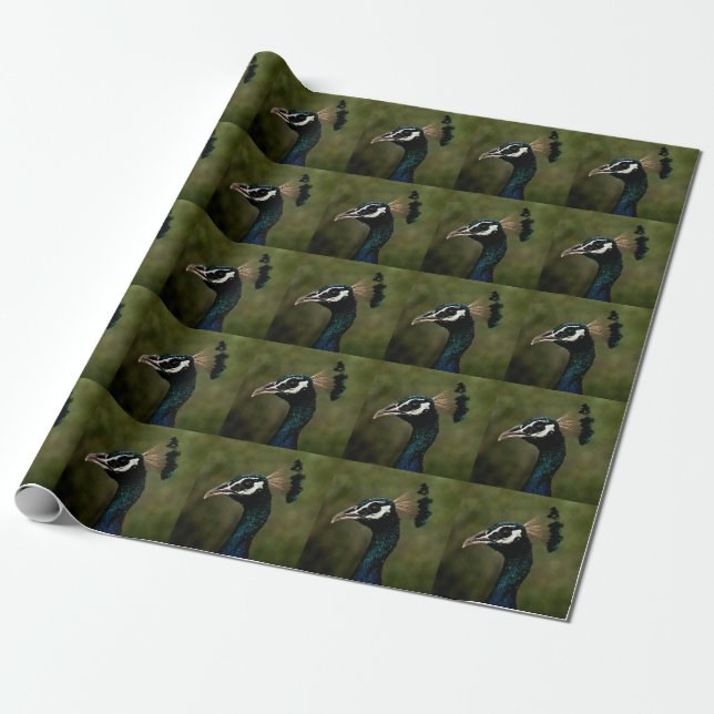 Papel De Presente Perfil de Peacock (Desenrolado)