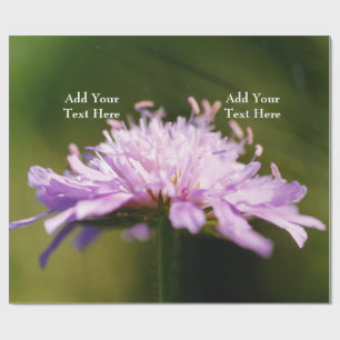 Papel De Presente Personalização do Flor Lilac Scabury (Knautia arve