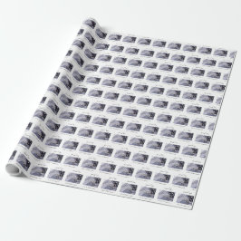 Papel De Presente Personalize, Menino, Primeira Comunhão Azul