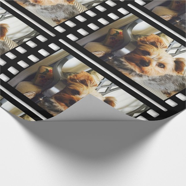 Papel De Presente Personalize sua foto ou Yorkie no Bench (Ponta)