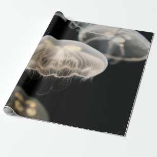 PAPEL DE PRESENTE PESCADO BRANCO