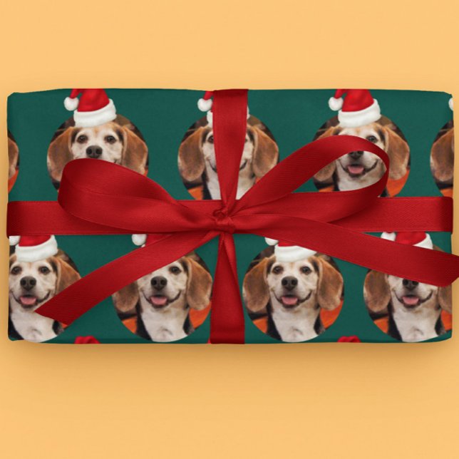 Papel De Presente Pet Photo Santa Hats na Cabeça de Natal Verde (Criador carregado)