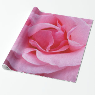 Papel De Presente Pétalas cor-de-rosa cor-de-rosa