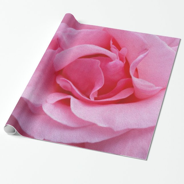 Papel De Presente Pétalas cor-de-rosa cor-de-rosa (Desenrolado)