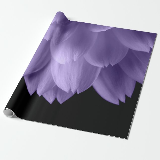 Papel De Presente Pétalas de flores roxas ultravioletas pretas (Desenrolado)