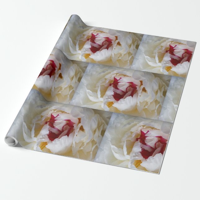 Papel De Presente pétalas de pénia (Desenrolado)