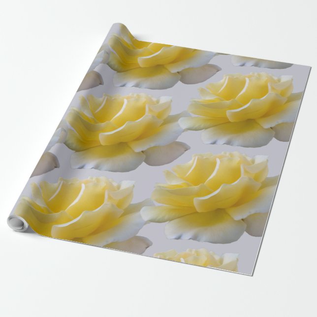 Papel De Presente Pétalas de rosa amarela (Desenrolado)