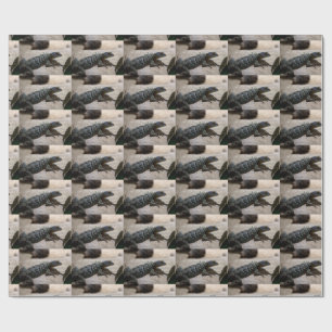 Papel De Presente Petrosaurus thalassinus
