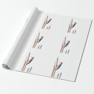 Papel De Presente Pica-Pau Empilhado