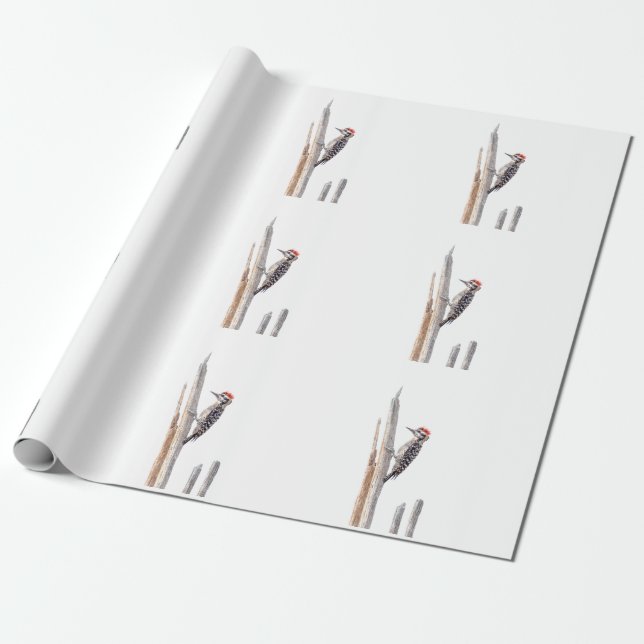 Papel De Presente Pica-Pau Empilhado (Desenrolado)