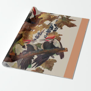 Papel De Presente Pica-Pau-Grande de John James Audubon Impressão de