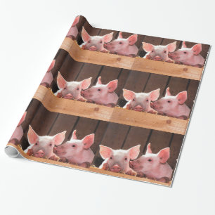 Papel De Presente Pigletas Cor-de-rosa, Padrão de Fotografia Animal
