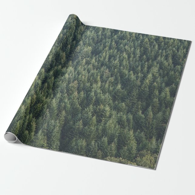 PAPEL DE PRESENTE PINE ÁRVORE FLORESTA (Desenrolado)