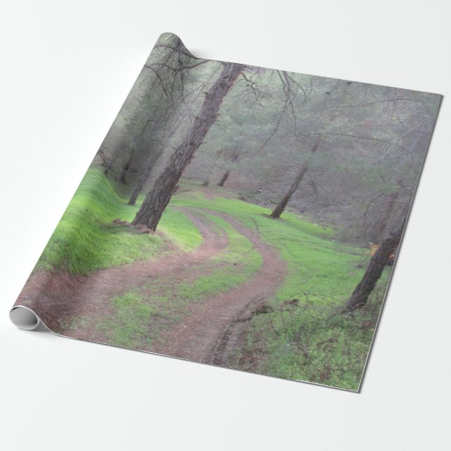 Papel De Presente Pine Forest Road (Desenrolado)