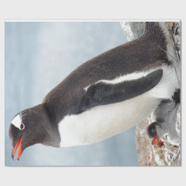 Papel De Presente Pinguim