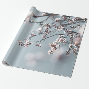 PAPEL DE PRESENTE PINK CHERRY BLOSSOM EM FECHAR FOTOGRAFIA