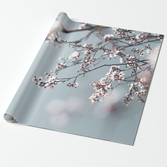 PAPEL DE PRESENTE PINK CHERRY BLOSSOM EM FECHAR FOTOGRAFIA (Desenrolado)