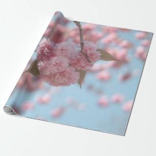 PAPEL DE PRESENTE PINK CHERRY BLOSSOM EM FECHAR FOTOGRAFIA