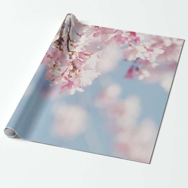 PAPEL DE PRESENTE PINK CHERRY BLOSSOM EM FECHAR FOTOGRAFIA (Desenrolado)