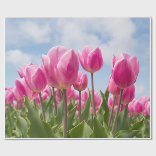 Papel De Presente Pink Tulips Wrapping Paper  (Aberto)