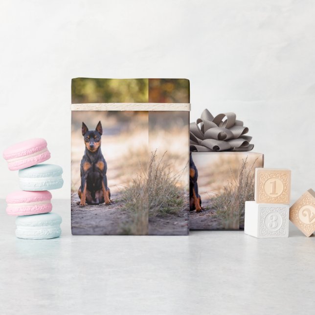 Papel De Presente Pinscher Miniatura Sentado (Chá de bebê)