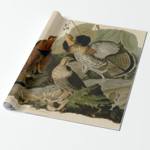 Papel De Presente Pintura de Audubon de trio de Grouse Ruffed