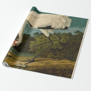 Papel De Presente Pintura de pássaros Audubon Crane Whoping