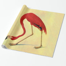 Pintura em Flamingo Americano Audubon