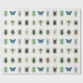Papel De Presente Pinturas em aquarela de coleção de insetos arte de