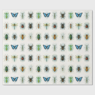 Papel De Presente Pinturas em aquarela de coleção de insetos arte de