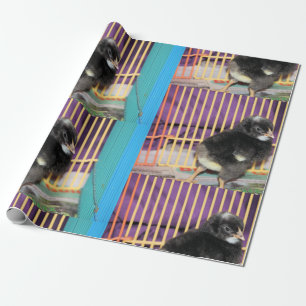 Papel De Presente Pista